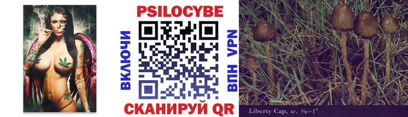 Псилоцибиновые грибы Cubensis даркнет сайт Новоржев